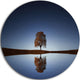 Tree Near Lake At Night, Landscape Photography Disc Metal Wall Art, 36"