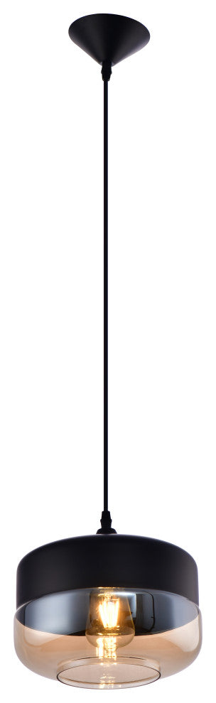 Lazzur Acolin 1 Light 10" Matte Black Pendant