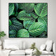 "Leaf IX" Oversized Framed Canvas, 45. x 45"