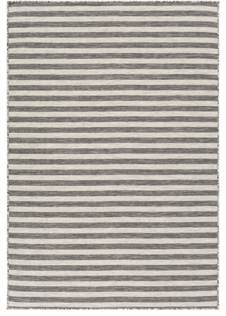 Pasadena Indoor/Outdoor Area Rug, Medium Gray, 4'3" X 5'11"
