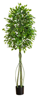 6.5ft. UV Resistant Artificial Ficus Tree, Indoor/Outdoor