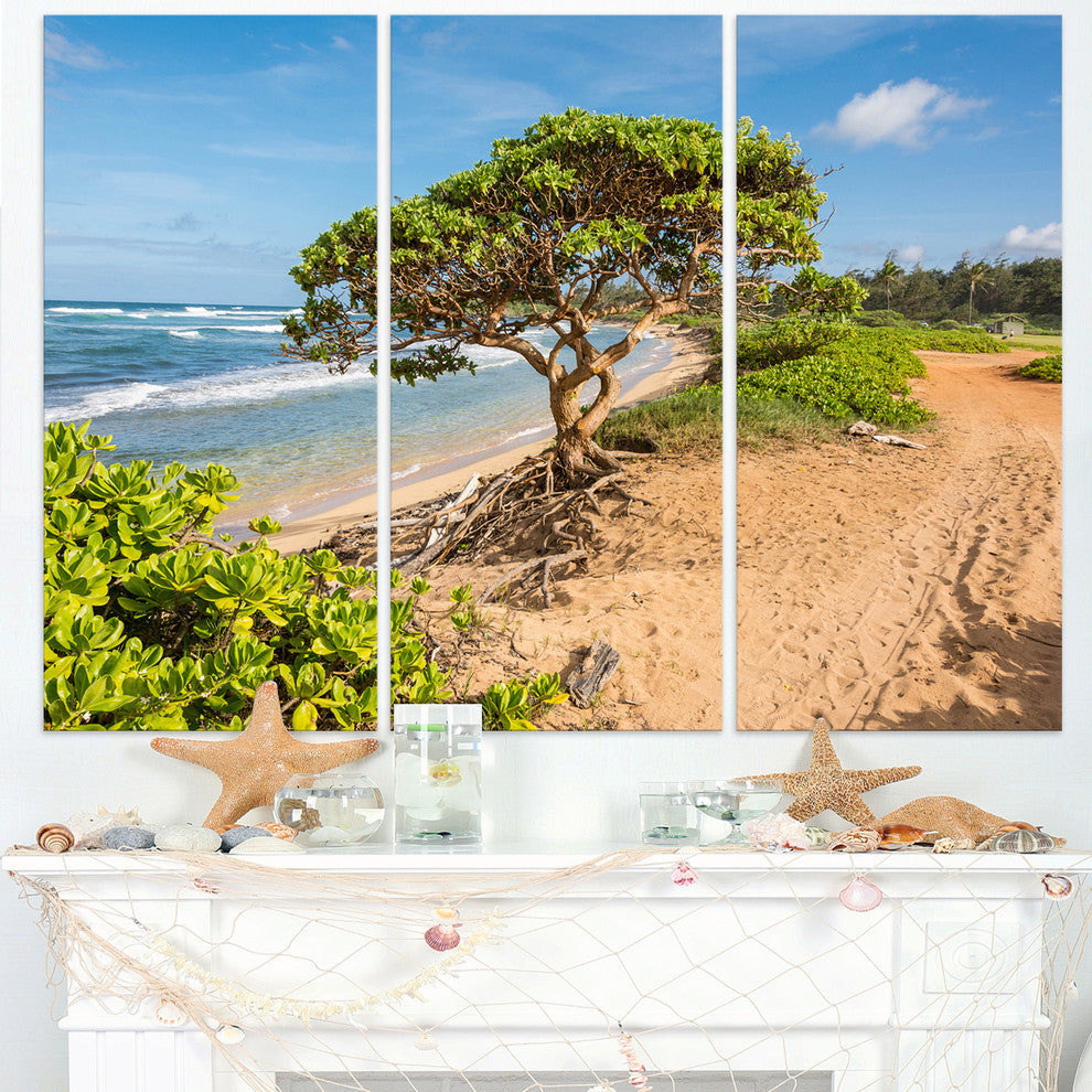 "Green Tree on Beach in Kauai Hawaii" Metal Wall Art, 3 Panels, 36"x28"