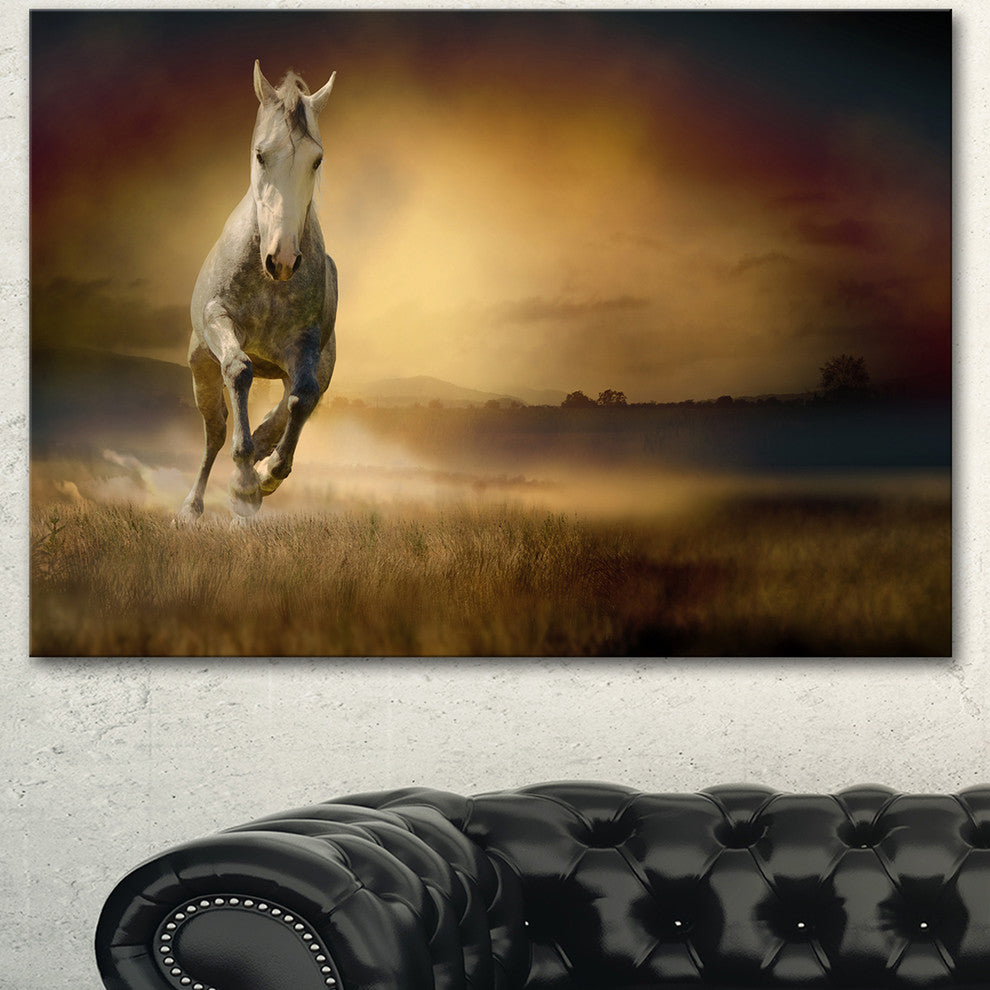 Horse Galloping Through Valley, Animal Canvas Wall Art, 40"x30"