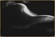 54x36 Lenticular Clouds VI, Framed Artwork, Gold