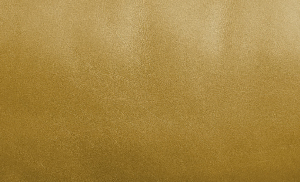 Upholstered Sofa With Track Arm, Turmeric Finish