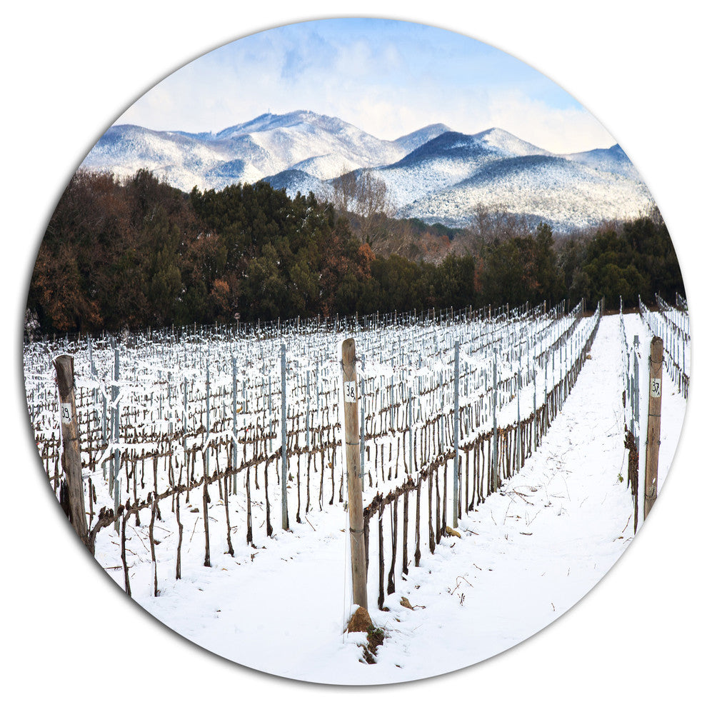 Snow Covered Vineyard Rows Italy, Landscape Round Wall Art, 11"