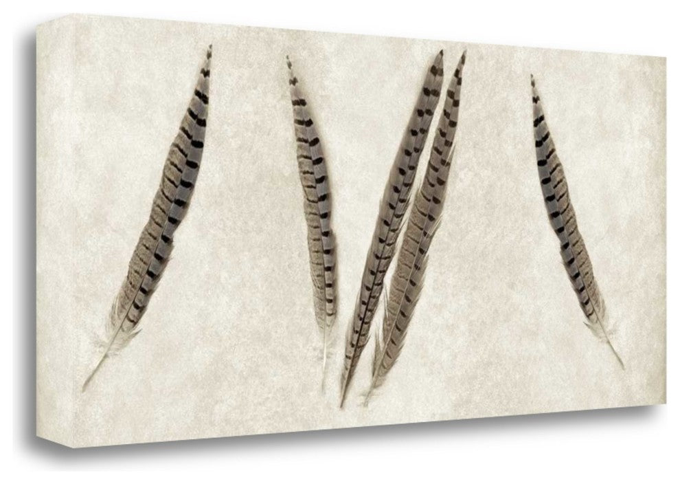 "Feather Panel - 2" By Alan Blaustein, Giclee Print on Gallery Wrap Canvas