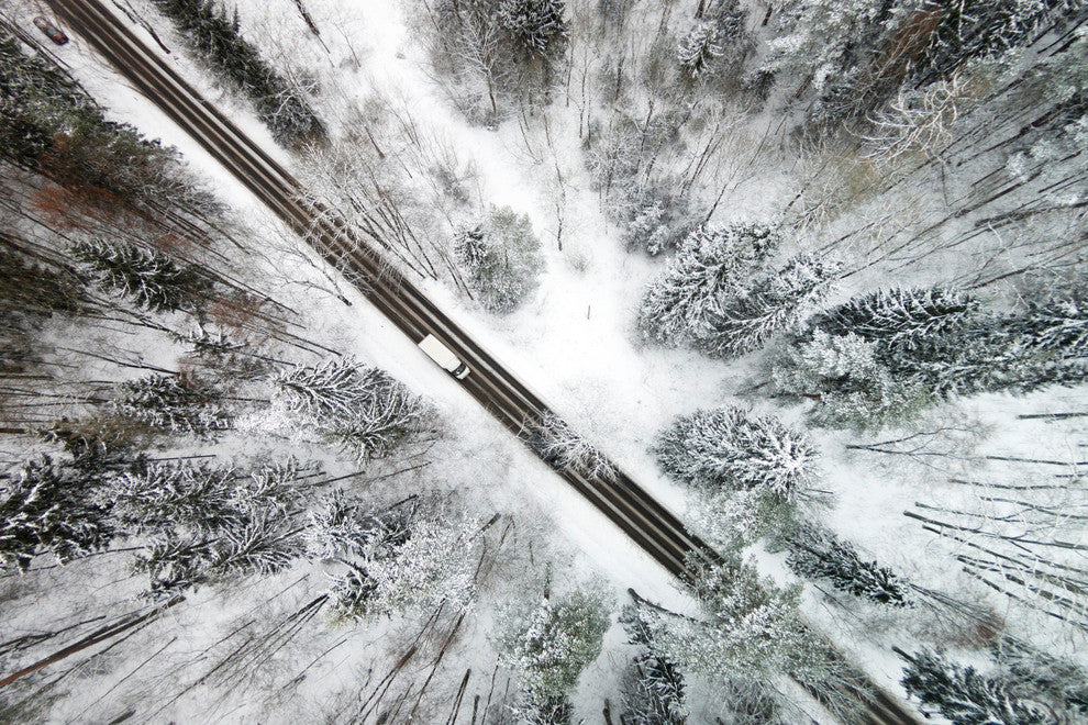 "Icy Forest" Print on Canvas by Karolis Janulis