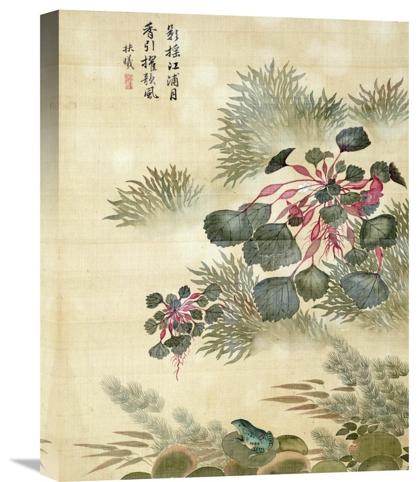 "Water Caktrios and Frog" Stretched Canvas Giclee by Ma Yuanyu, 17"x22"