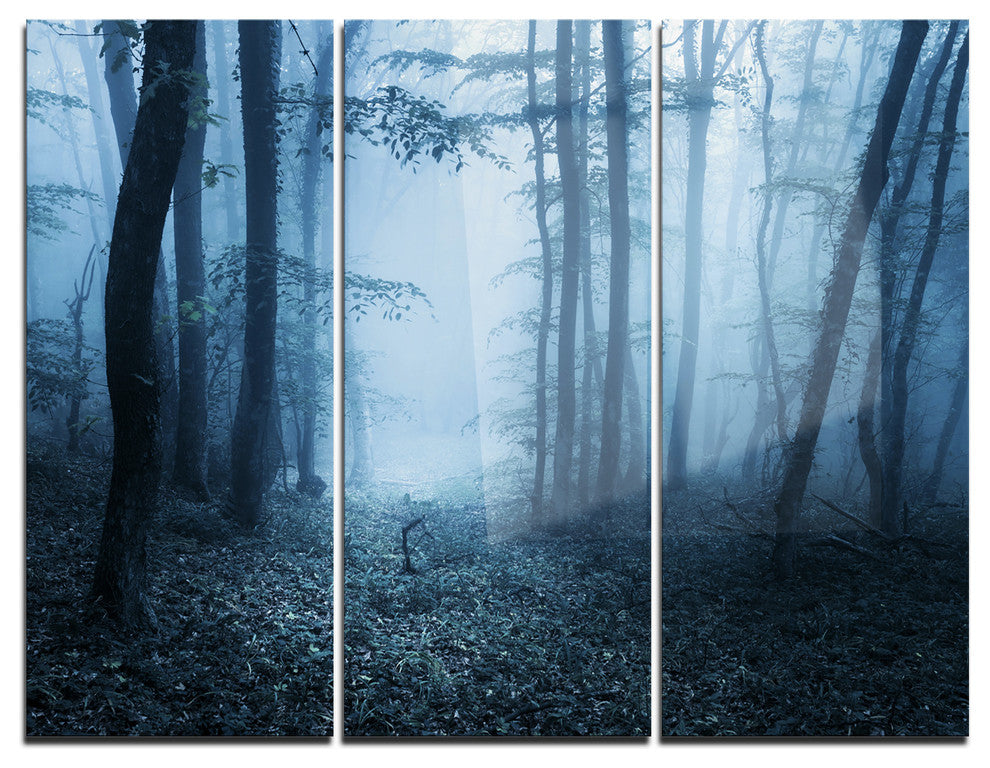 "Foggy Spring Forest" Photography Metal Wall Art, 3 Panels, 36"x28"
