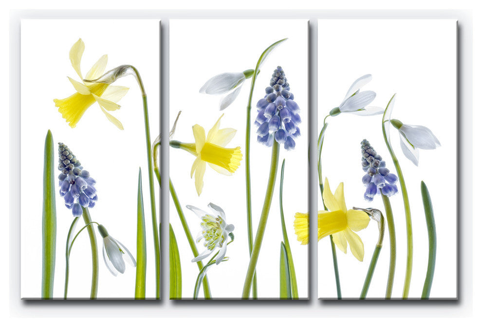 Ready2HangArt ''Spring'' 3-Piece Canvas Wall Decor Set, 60"x40"