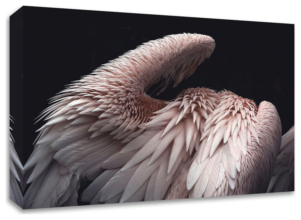 Flamboyance 2 by Design Fabrikken, Print on Canvas, 28"x20"