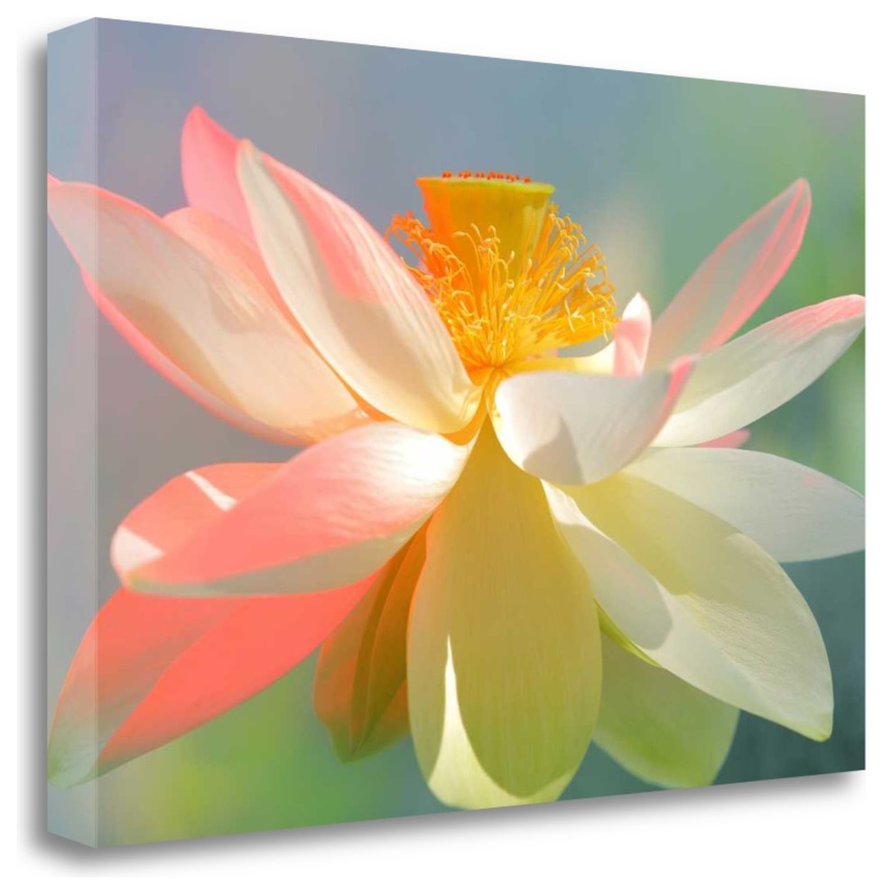 "Dancing Queen" By Bahman Farzad, Giclee Print on Gallery Wrap Canvas