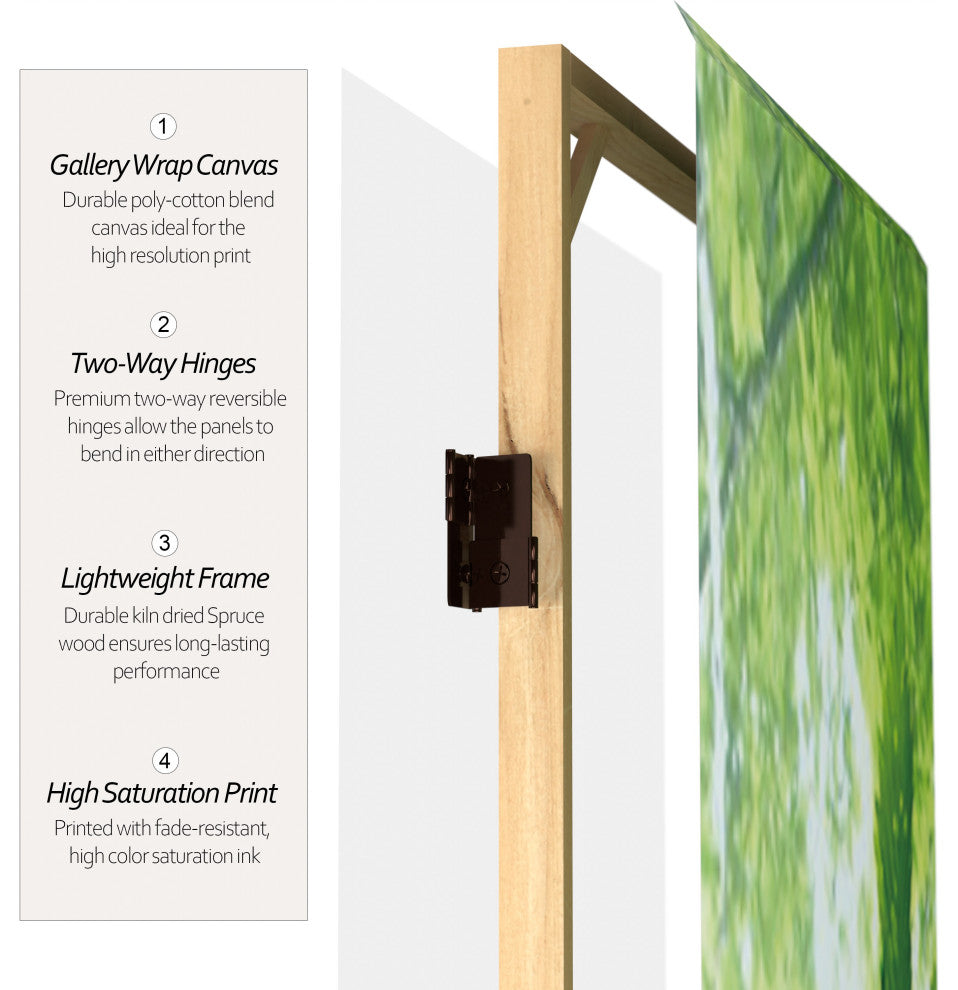 6' Tall Draped Buddha Double Sided Room Divider