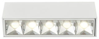 5 Lights Integrated LED Surface Mounted Downlight Commercial Grade, White
