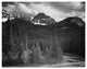"Streamside trees, Northeast, Yellowstone NP, 1941-1942" Paper Art, 18"x14"