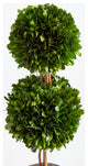 Boxwood Double Sphere Topiary Drop-In, 20"