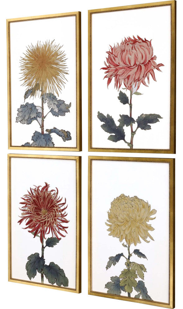 Chrysanthemum, 4-Piece Set Framed Art