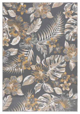 Safavieh Sunrise Collection SUN671 Indoor-Outdoor Rug, Ivory/Grey Gold, 4'x5'7"