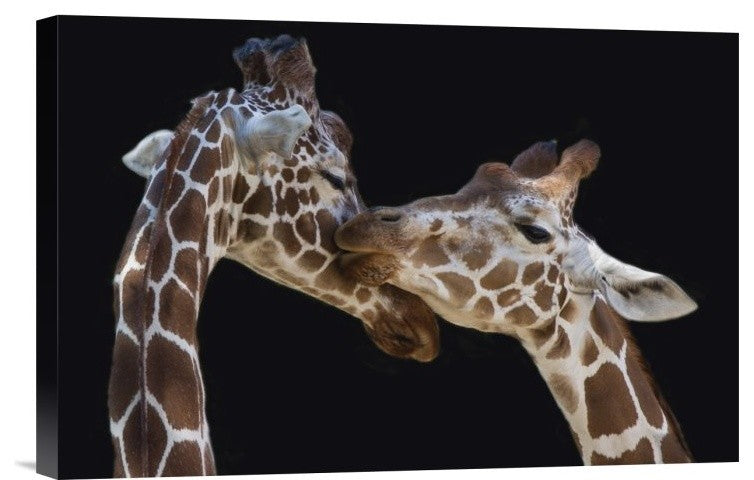 "The Kiss" Stretched Canvas Giclee by Manfred Foeger, 18x12"