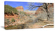 Red Rock Mountain in Zion Park, Landscape Canvas Art Print, 40x20