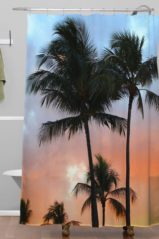 Deb Haugen sunset palm Shower Curtain, Standard