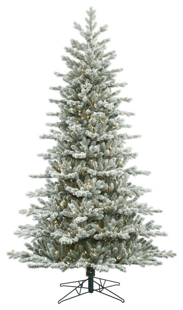 Frosted Eastern Frasier Dura-Lit 500 Clear Christmas Tree, 6.5'x44"
