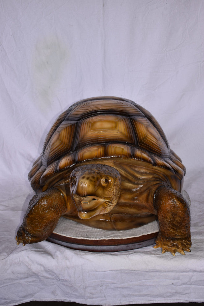 Giant Tortoise Turtle Fountain Light Brown Finish Bronze Statue 24"x 38" x 16