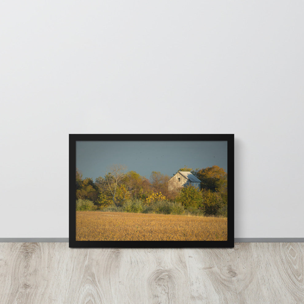 Abandoned Barn In The Trees Framed Photo Paper Wall Art Prints, Black, 12" X 18"