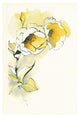 "Carols Roses II" Digital Paper Print by Shirley Novak, 22"x32"