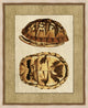 Neutral Turtle 2, Giclee Reproduction Artwork