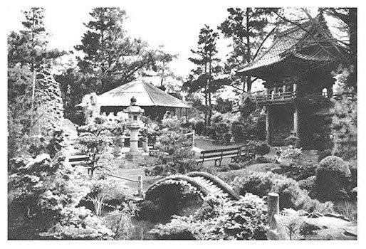 Oriental Tea Garden, San Francisco, CA - Gallery Wrapped Canvas Art 28" x 42"