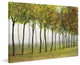 "Row of Trees Green" Painting Print on Canvas by Chris Vest