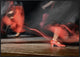 "Flame(Nco)" Framed Canvas Giclee by Izidor Gasperlin, 41x29"