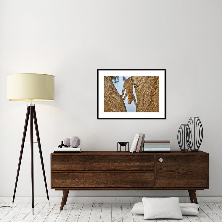 "Upside Down" Framed Digital Print by Alessandro Catta, 38"x28"