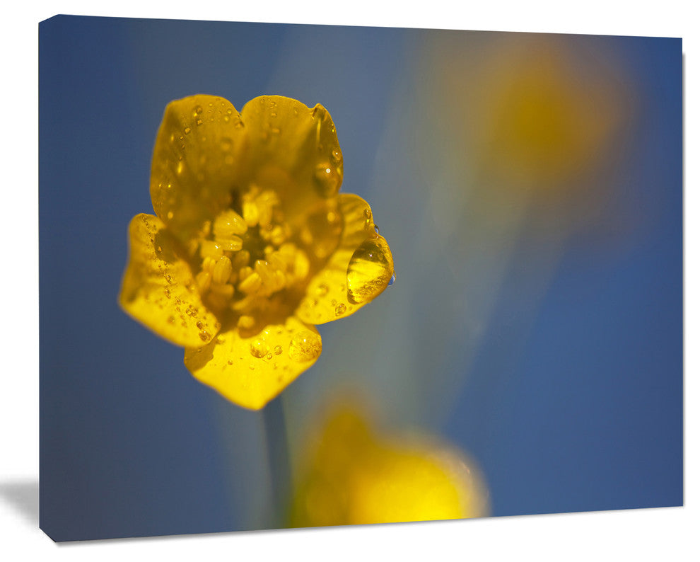 Solitary Large Yellow Flower, Floral Canvas Art Print, 20"x12"