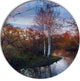 Forest River In The Spring, Landscape Photo Round Wall Art, 11"