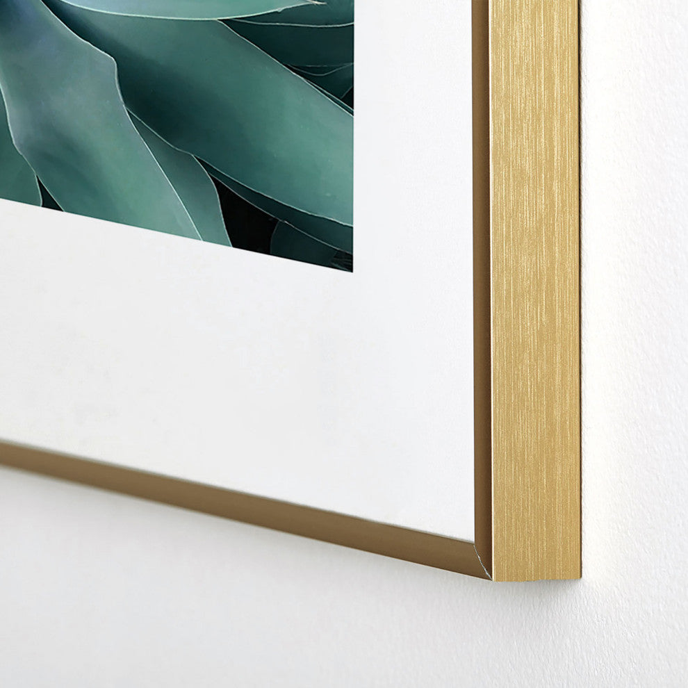 Gale Switzer Agave geometrics Metal Framed Art Print