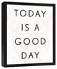 Today Is A Good Day 16x20 Black Framed Canvas