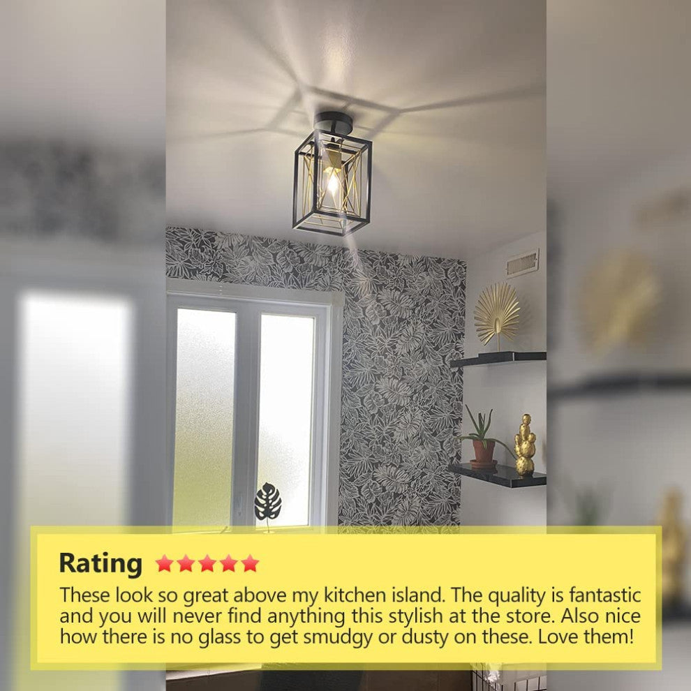 Adjustable Black and Gold Pendant Light Industral Cage Hanging Lighting