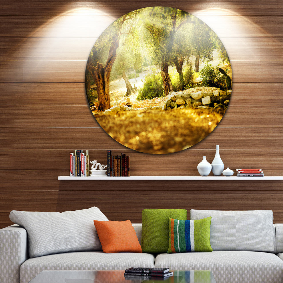 Olive Trees, Photography Large Disc Metal Wall Art, 11"