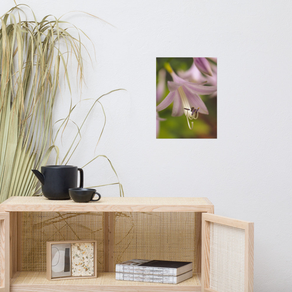 Close-up Hosta Bloom Nature Photography, Floral Unframed Wall Art Print, 12" X 16"
