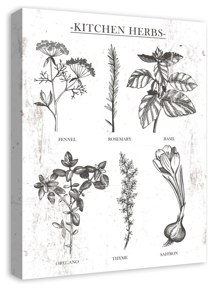 Six Distressed Kitchen Herbs 18"x24" Print on Canvas