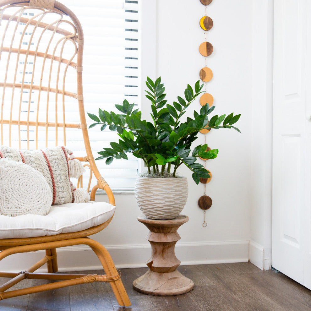 28in. Artificial Zamioculcas Plant with Decorative Planter