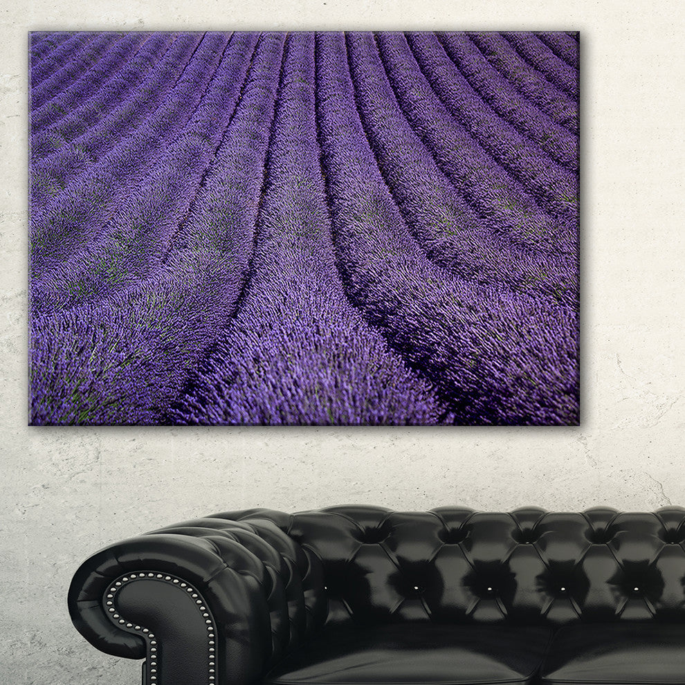 "Blooming Lavender Flower Texture" Landscape Wall Wall Art, 40"x20"