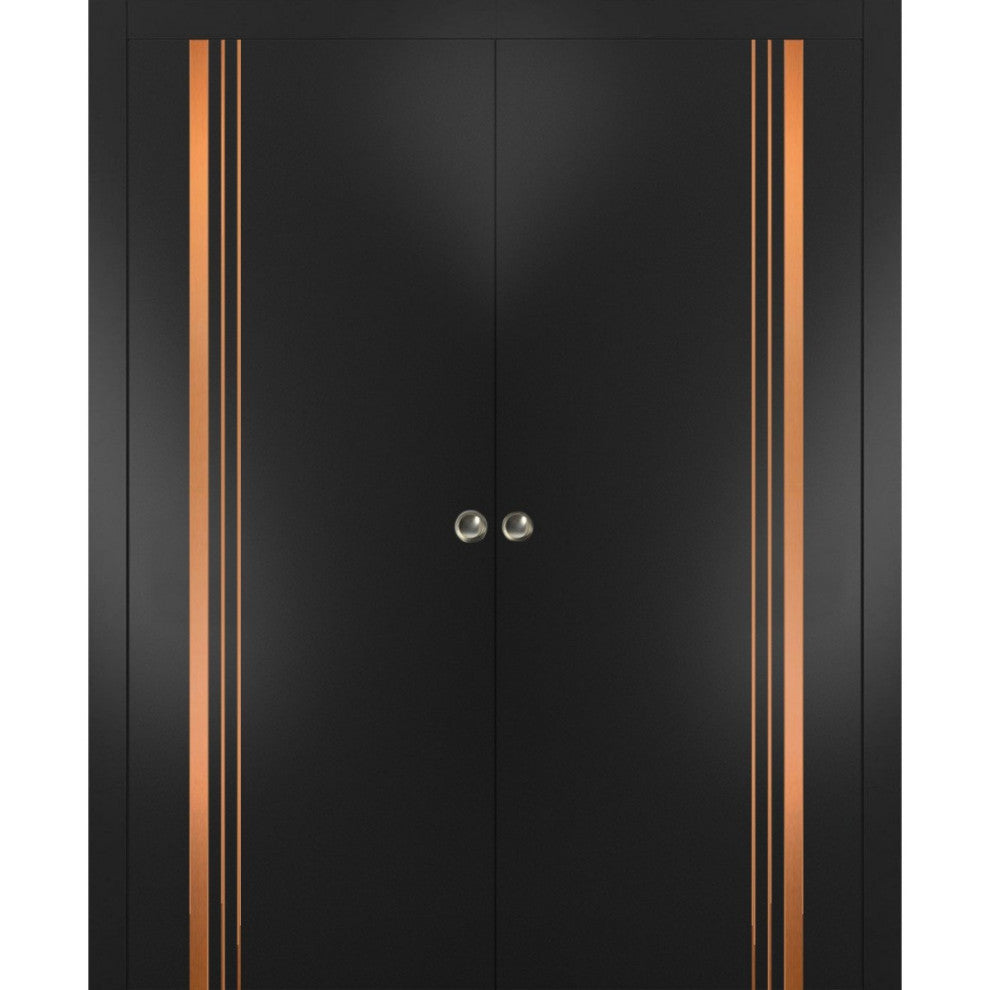French Double Pocket Doors 84x80 | Planum 1010 Matte Black | Kit Trims Rail
