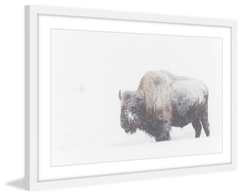 Marmont Hill, "Icy Fur" Framed Painting Print, 36x24