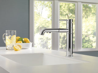 Delta Trinsic Single Handle Pull-Out Kitchen Faucet, Chrome, 4159-DST