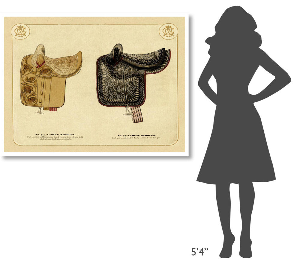 "Saddles and Tack: Ladies' Saddles #3" Digital Paper Print, 50"x38"
