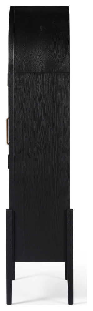 Tolle Panel Door Cabinet-Drifted Mat Blk